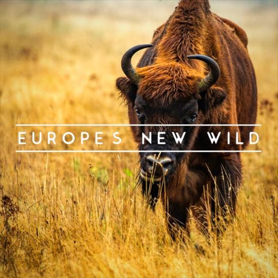 Dzikie miejsca Europy -  Dzikie miejsca Europy 2020L-Europes New Wild.jpg