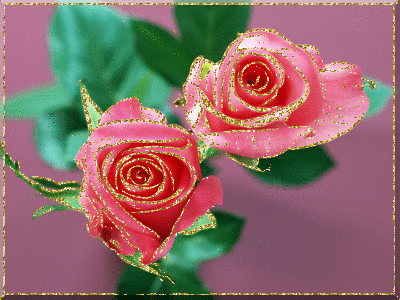  Róże - Różyczki.gif