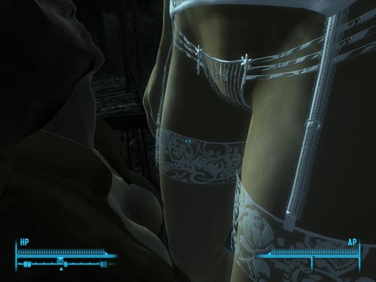 Fallout 3 - ScreenShot121.jpg