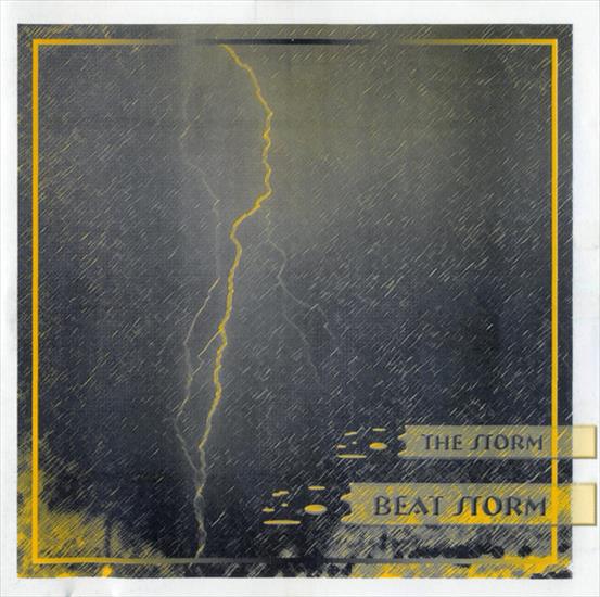Beat storm - The Storm  1998 - cover.jpg